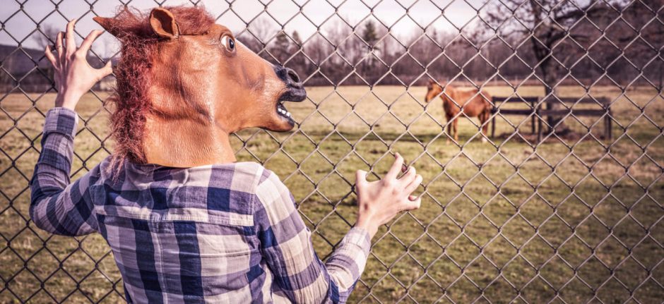 4 Brands Making the Most of Memes in 2016 (And How You Can Too) | Hootsuite Blog