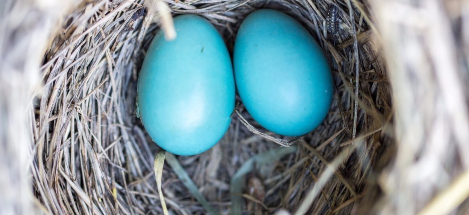 Twitter Hacks: 21 Tricks and Features You Probably Didn’t Know About | Hootsuite Blog