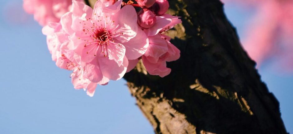 Social Media News You Need to Know: April 2017 Roundup | Hootsuite Blog