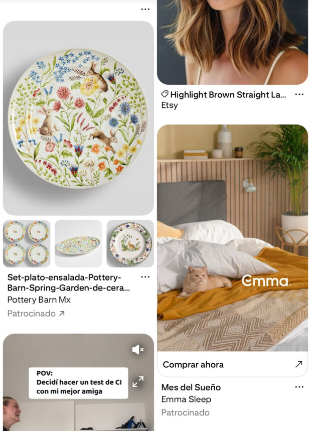 Pines patrocinados de las marcas Pottery Barn y Emma Sleep en el feed de Pinteres