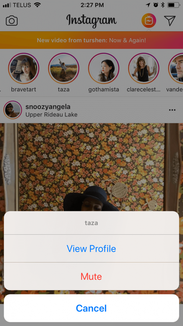 How to Use Instagram Mute (And How Not to Get Muted) VII Digital