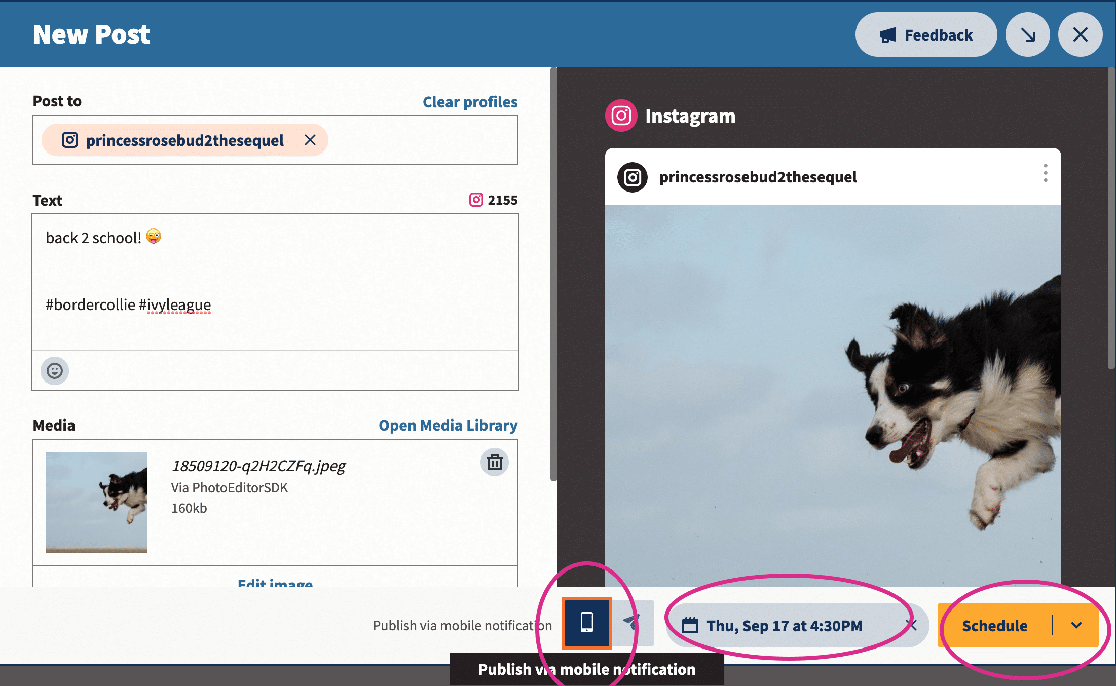 hootsuite instagram scheduling