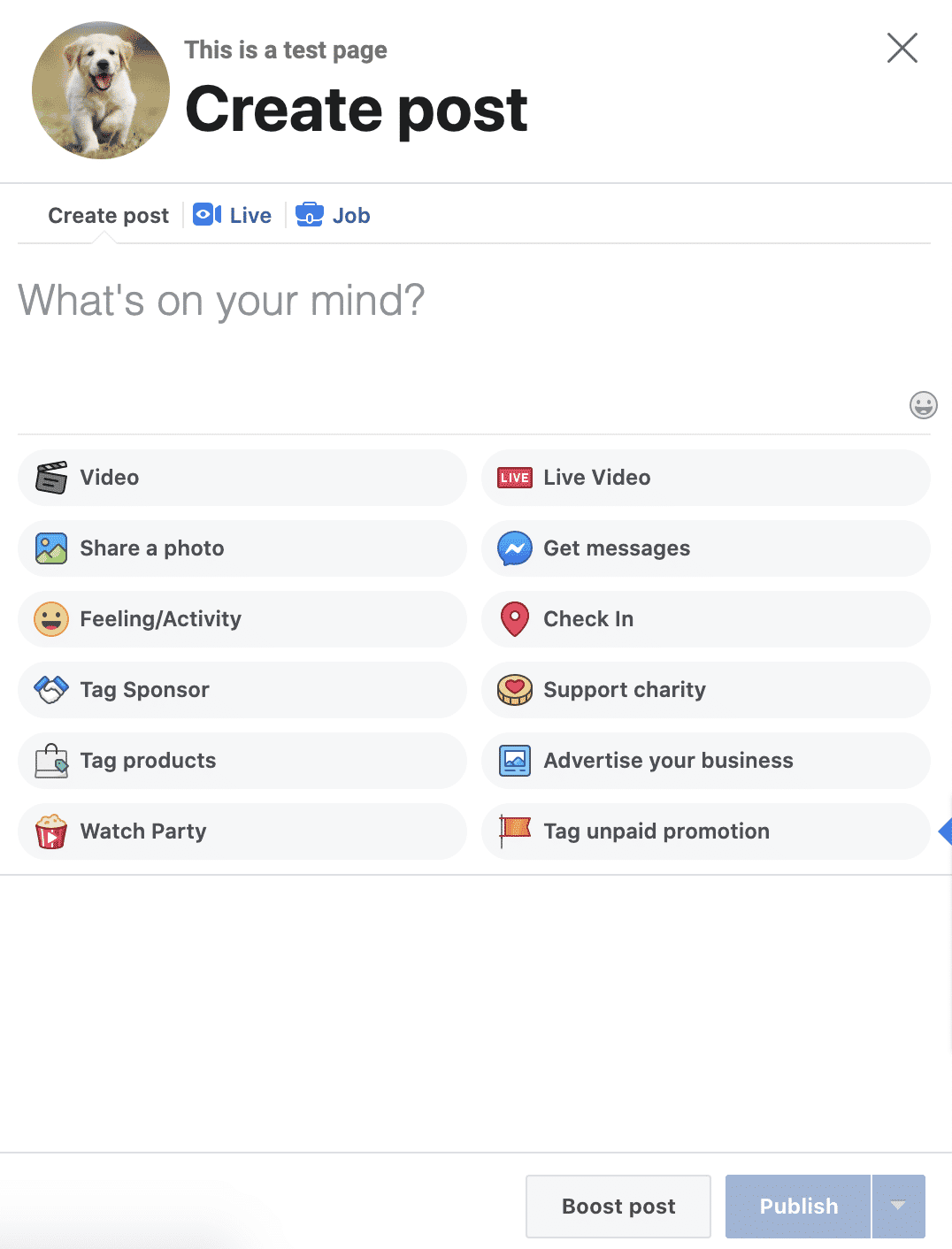Facebook Automatic Post How to Reduce Your Workload with a Facebook Auto Poster - Amplitude ...