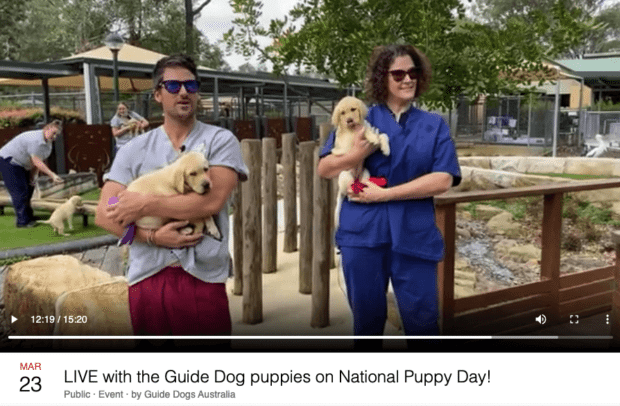 Facebook Live Event with Guide Dogs Australia