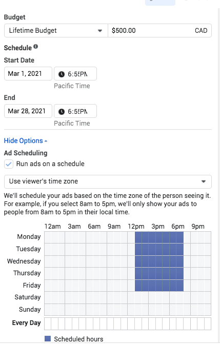 budget and schedule