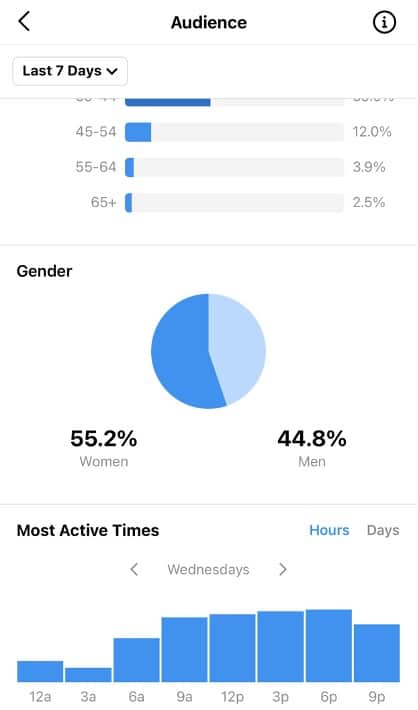 audience insights most active times