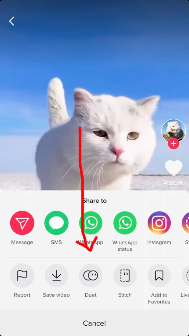 12 TikTok Tricks You Need to Know (Beginners Start Here!)