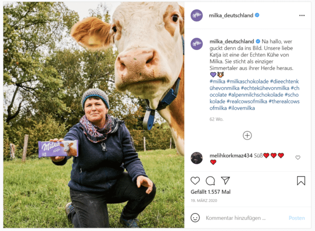 Milka stellt eine der „echten Kühe