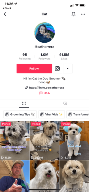 L'utilisatrice de TikTok non certifiée Cat the Dog Groomer (@catherrera) compte 1 million d’abonnés