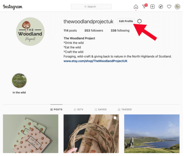 Profil auf Instagram bearbeiten