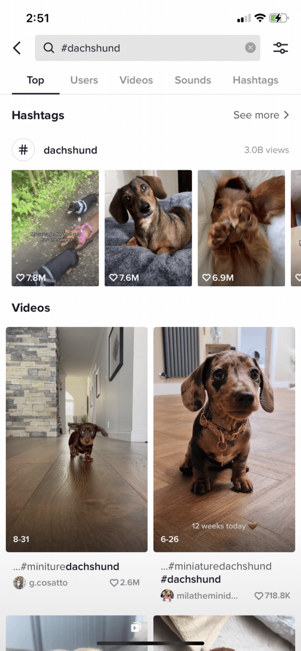 So sehen Sie Hashtag-Ansichten auf TikTok