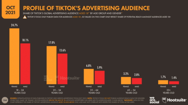 Perfil de audiencia publicitaria en TikTok