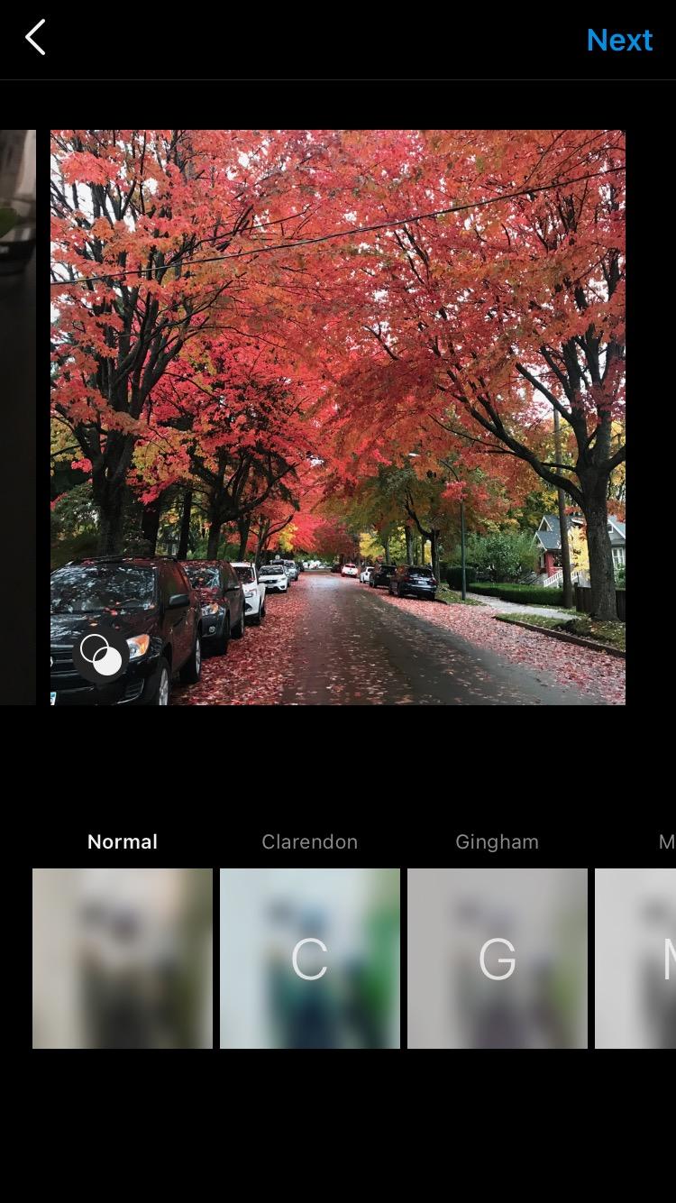 Tips Cara Menyimpan Foto Sebagai Draft Di Instagram Blibli Friends