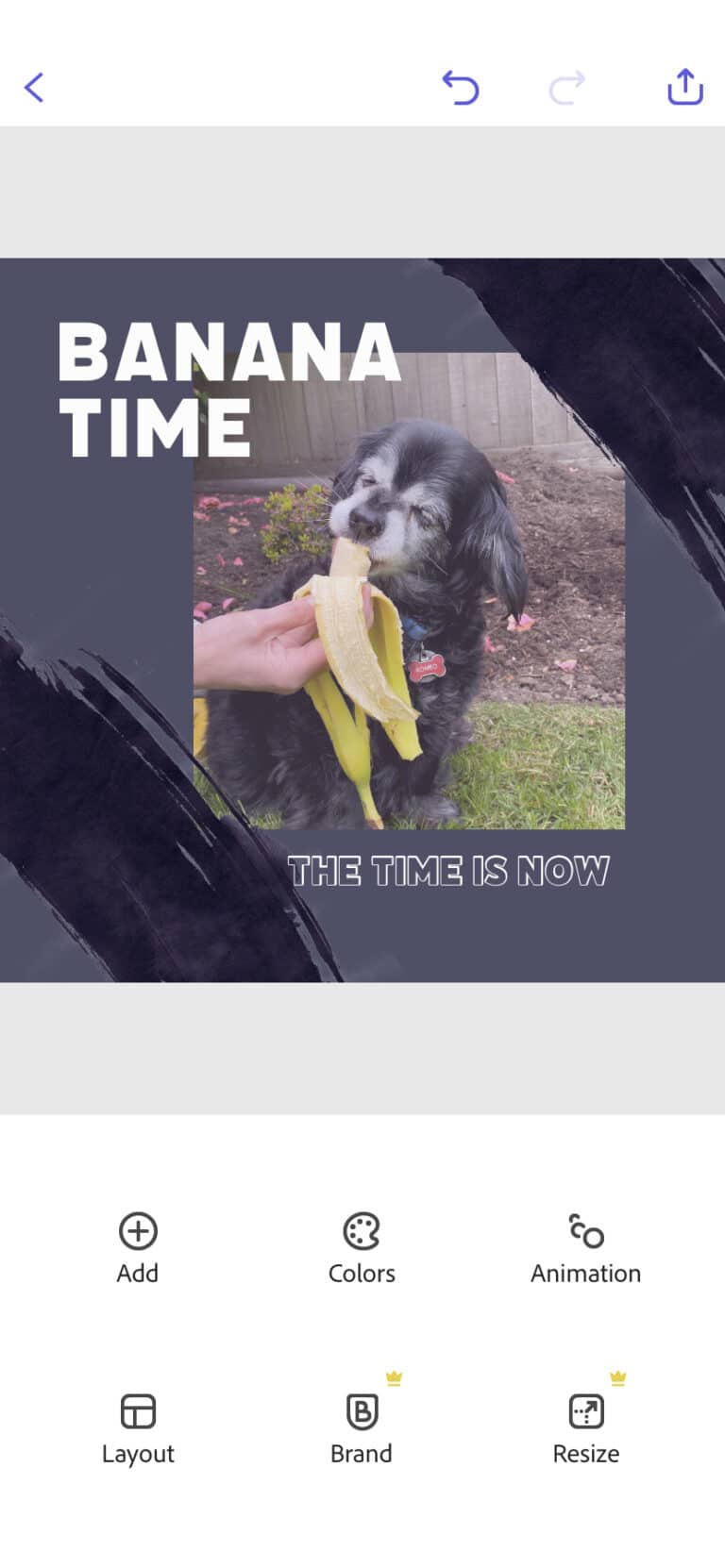 The 22 Best Instagram Editing Apps for 2024