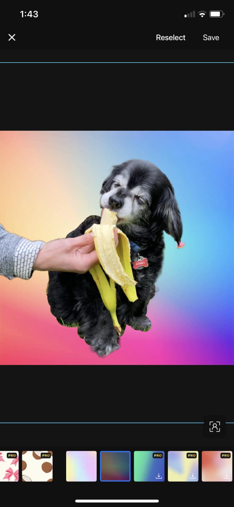 The 22 Best Instagram Editing Apps for 2024