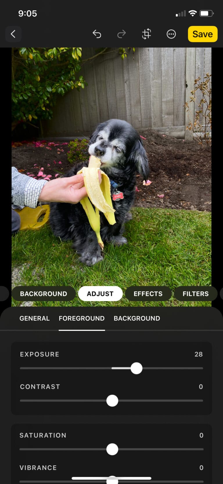 The 22 Best Instagram Editing Apps for 2024