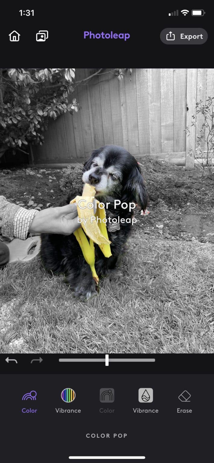 The 22 Best Instagram Editing Apps for 2024