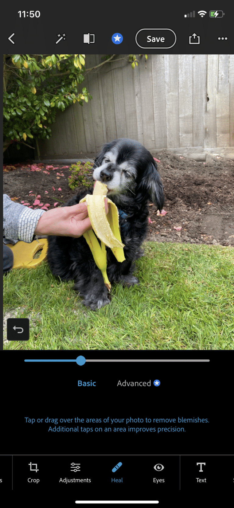 The 22 Best Instagram Editing Apps for 2024