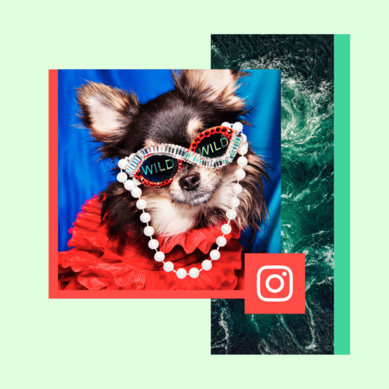 Instagram lanza el sticker En Casa para las Stories