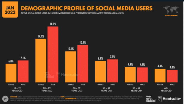 Profil démographique des utilisateurs des médias sociaux