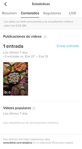 Estadísticas de TikTok: desempeño del contenido publicado