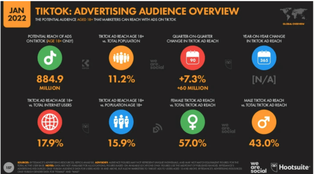 TikTok advertising audience overview of users aged 18 and over