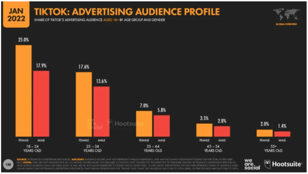 TikTok advertising audience profile