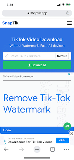 remove watermark using SnapTik