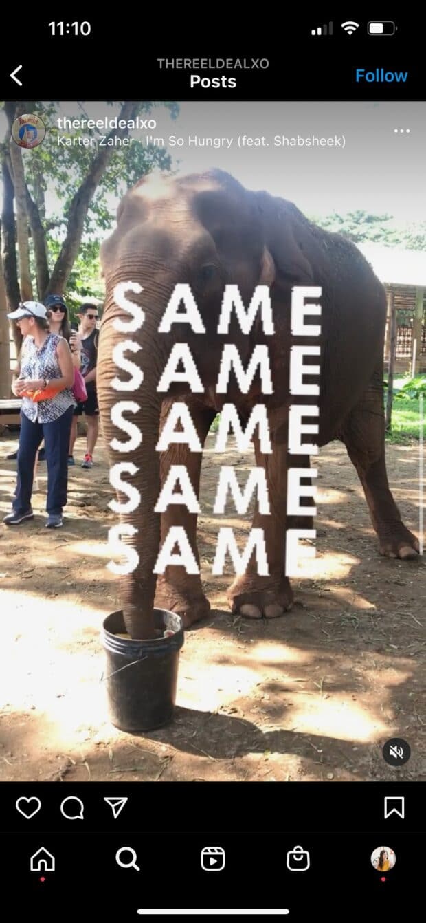 éléphant avec le même texte cinq fois