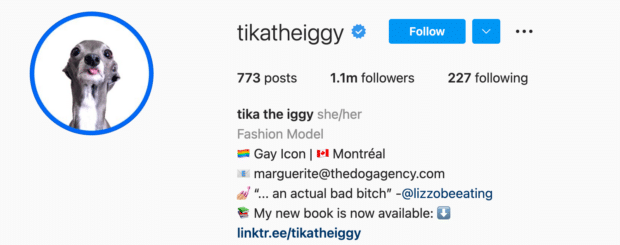 Biografía de Instagram de Tika the iggy