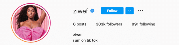 Ziwe Instagram Bio