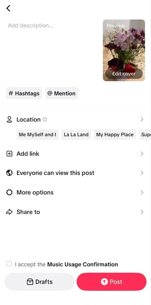 TikTok post screen with caption field, hashtag and mention options, privacy settings, and the red Post button
