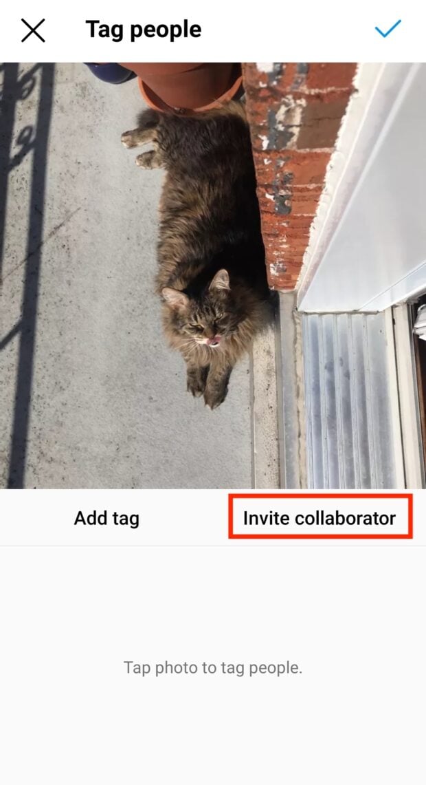 invite collaborator to photo of cat