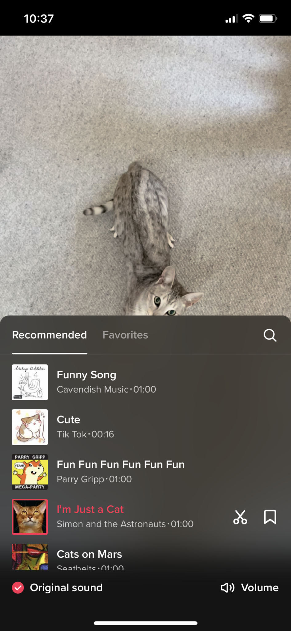 How to Make a TikTok Video Everything You Need to Know