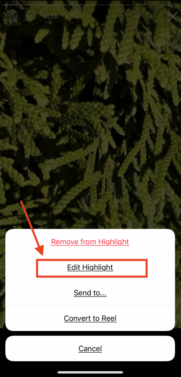 edit highlight option on instagram story highlight