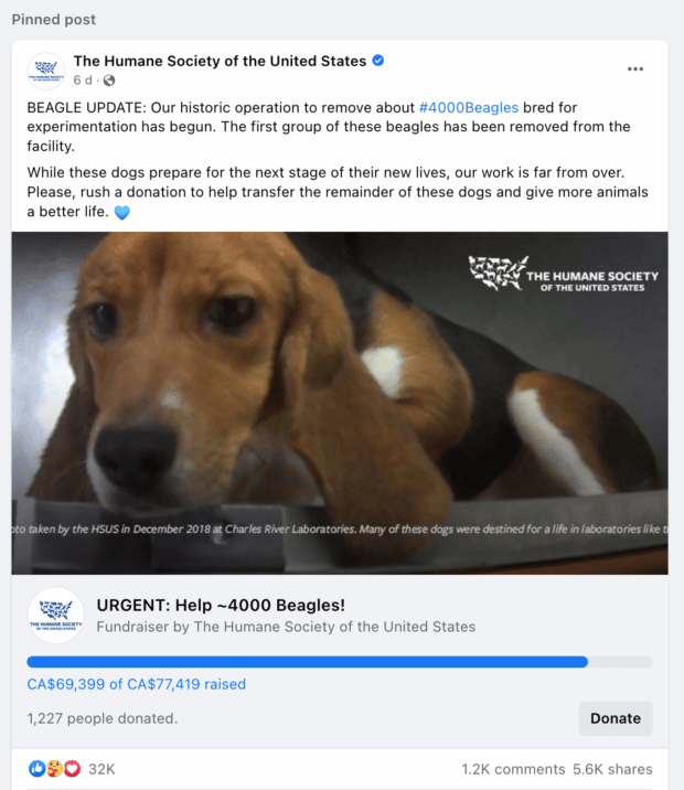 Humane Society of the United States pinned post fundraiser