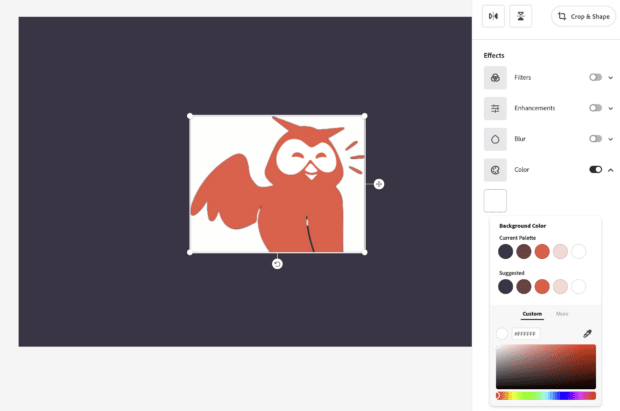 changement de couleur d'arrière-plan sur une image owly adobe express