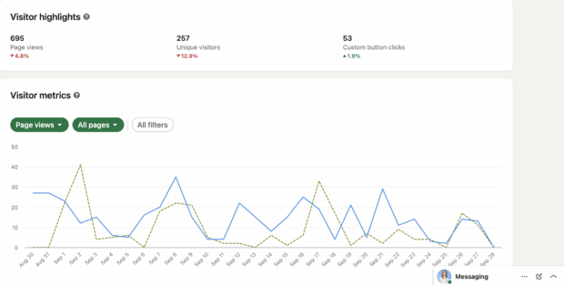 Statistiques Visiteurs dans LinkedIn Analytics