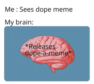 Meme of an illustration of a brain that reads "Me: Sees dope meme, My brain: *Releases dope-a-meme"