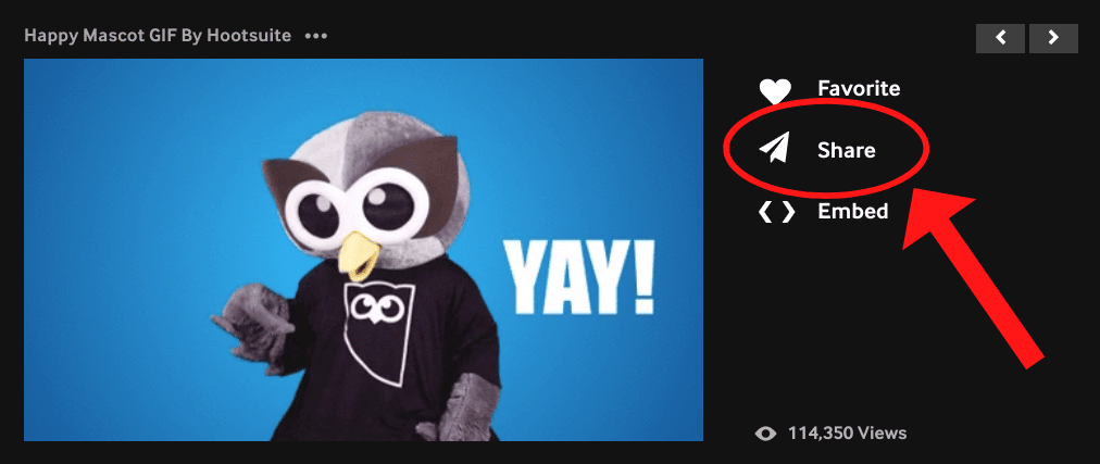 Share icon on the right side of Owly GIF