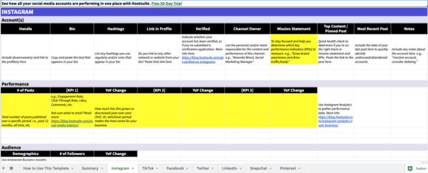 List individual platform performance on the social media audit spreadsheet