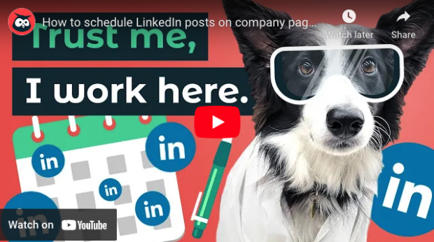 Thumbnail linking to a youtube video explaining how to schedule linkedin posts