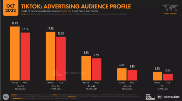 tiktok advertising audience profile Q4 2022