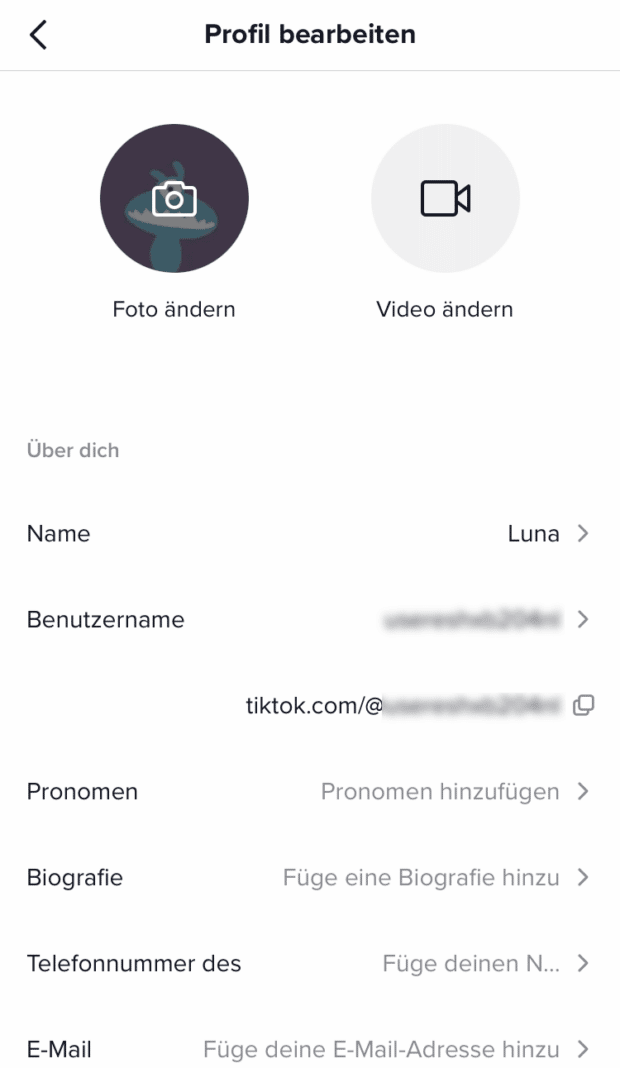 tiktok profil komplett ausfuellen für seo