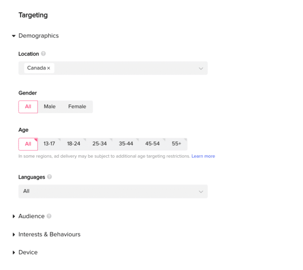 targeting with demographics audience interests and device