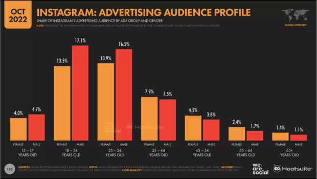 Instagram advertising audience profile