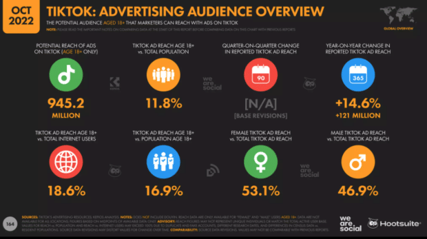 Overview of the TikTok advertising audience