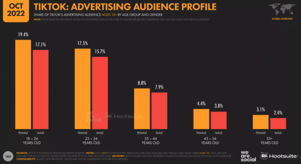 TikTok advertising audience profile