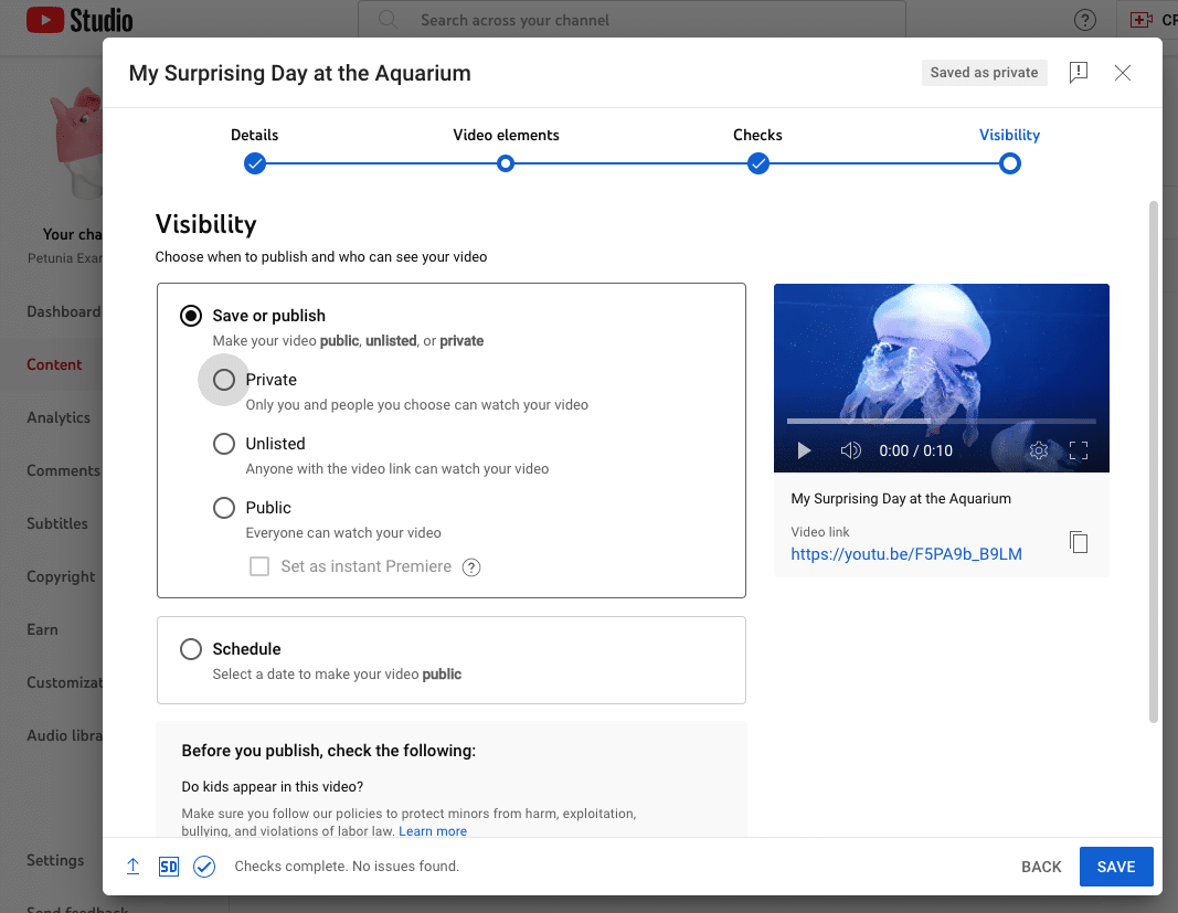 How to Verify That it's you in  Channel & YT Studio