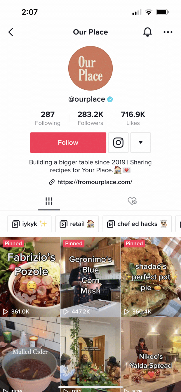 our place tiktok bio